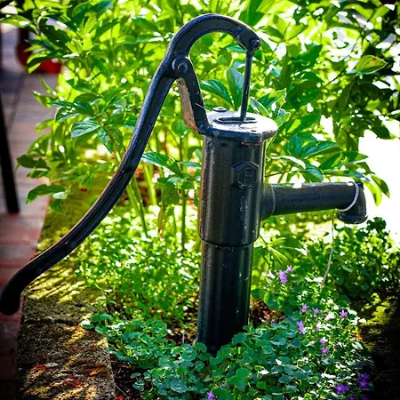 בית חווה Olistella *